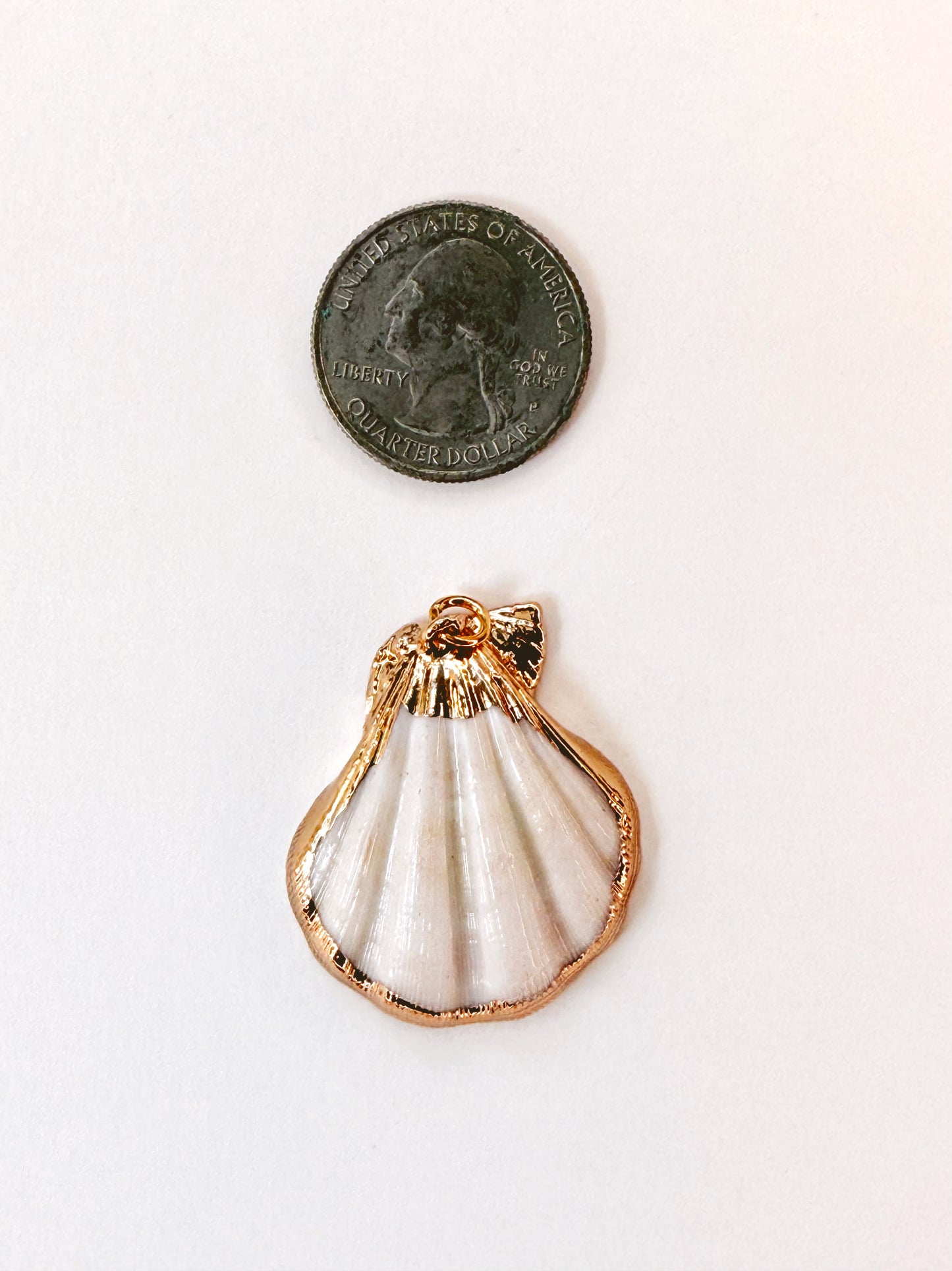 Gold Rimmed Cream Scallop Pendant