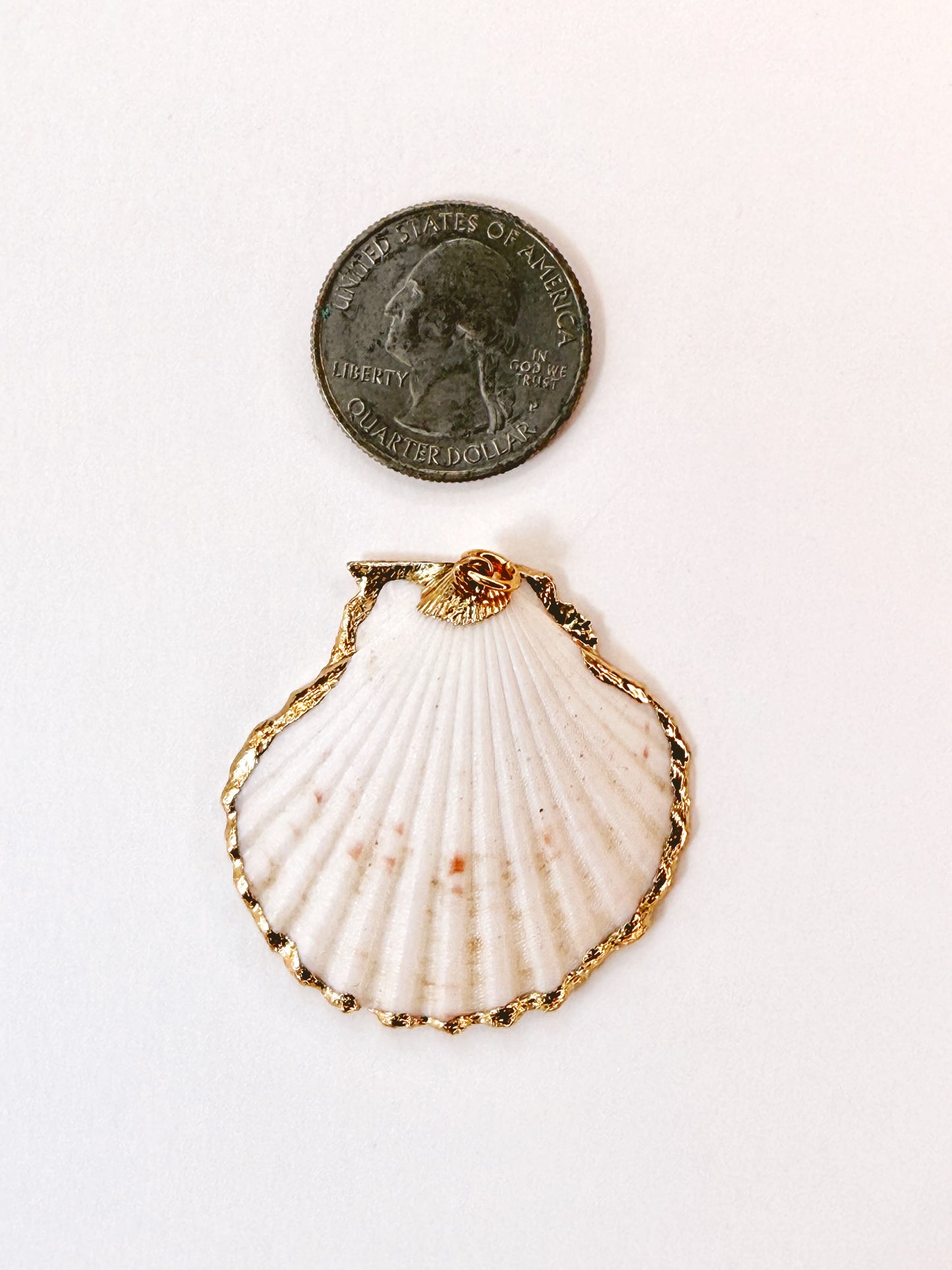 Cream Flat Scallop Pendant