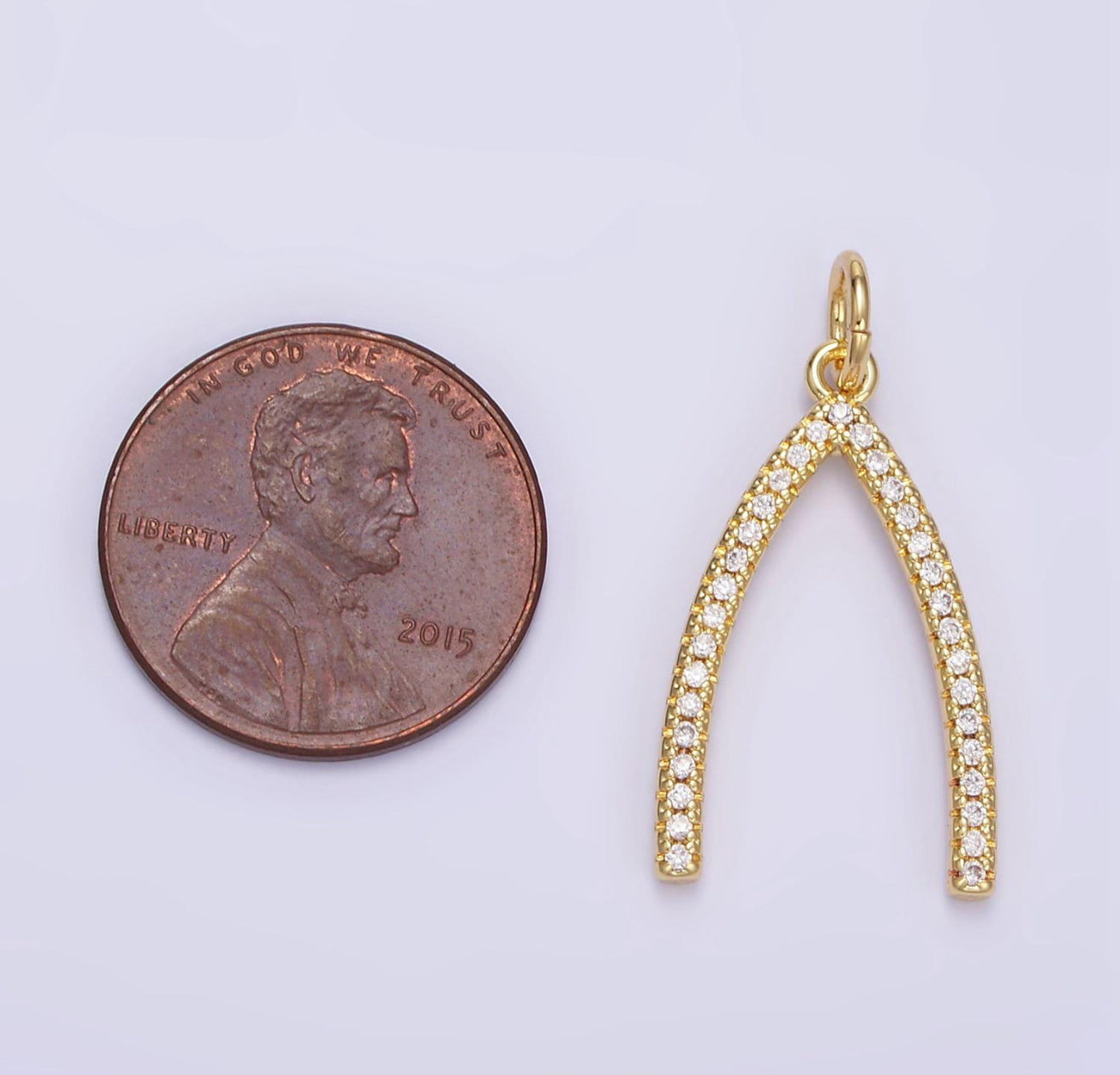 Dainty Wishbone Pendant