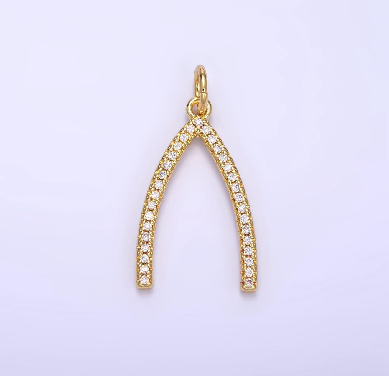 Dainty Wishbone Pendant
