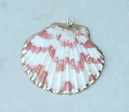 Rust/Cream Flat Scallop Pendant